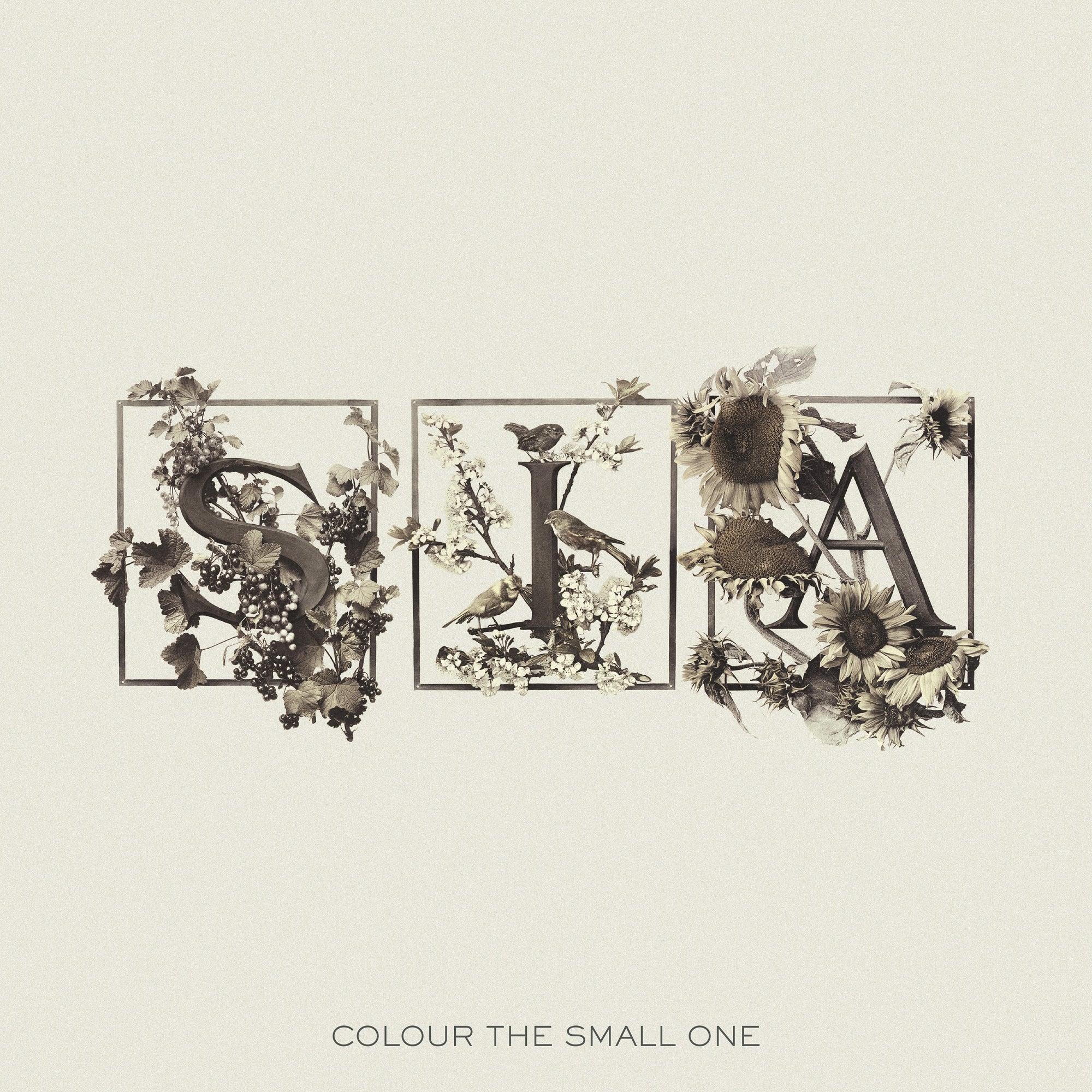 Sia - Colour the Small One RSD24 (Vinyl 2LP)
