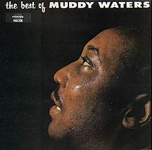 Muddy Waters - The Best Of Muddy Waters (Vinyl LP)