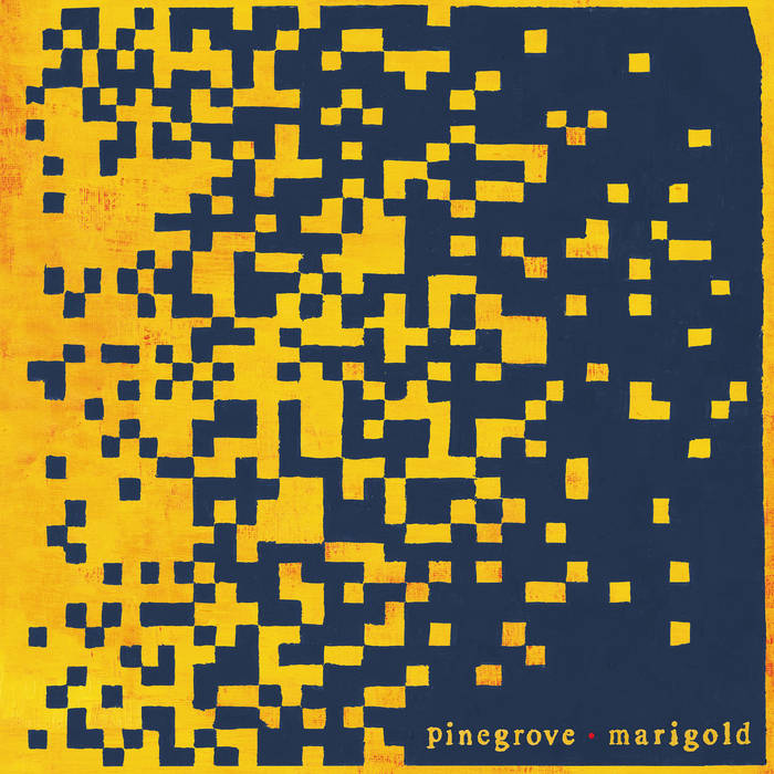 Pinegrove - Marigold (Vinyl LP)