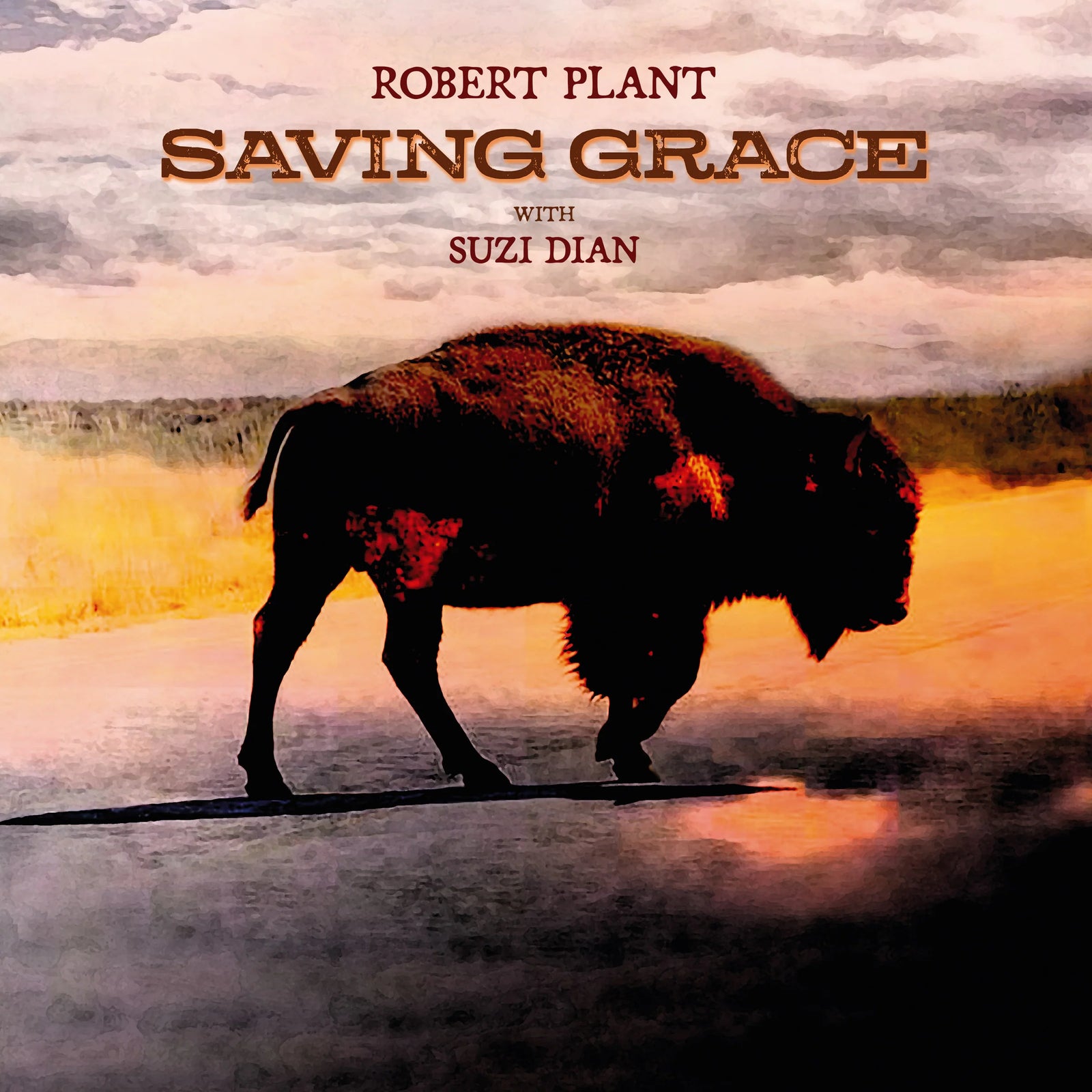 Robert Plant - Saving Grace (Vinyl LP)