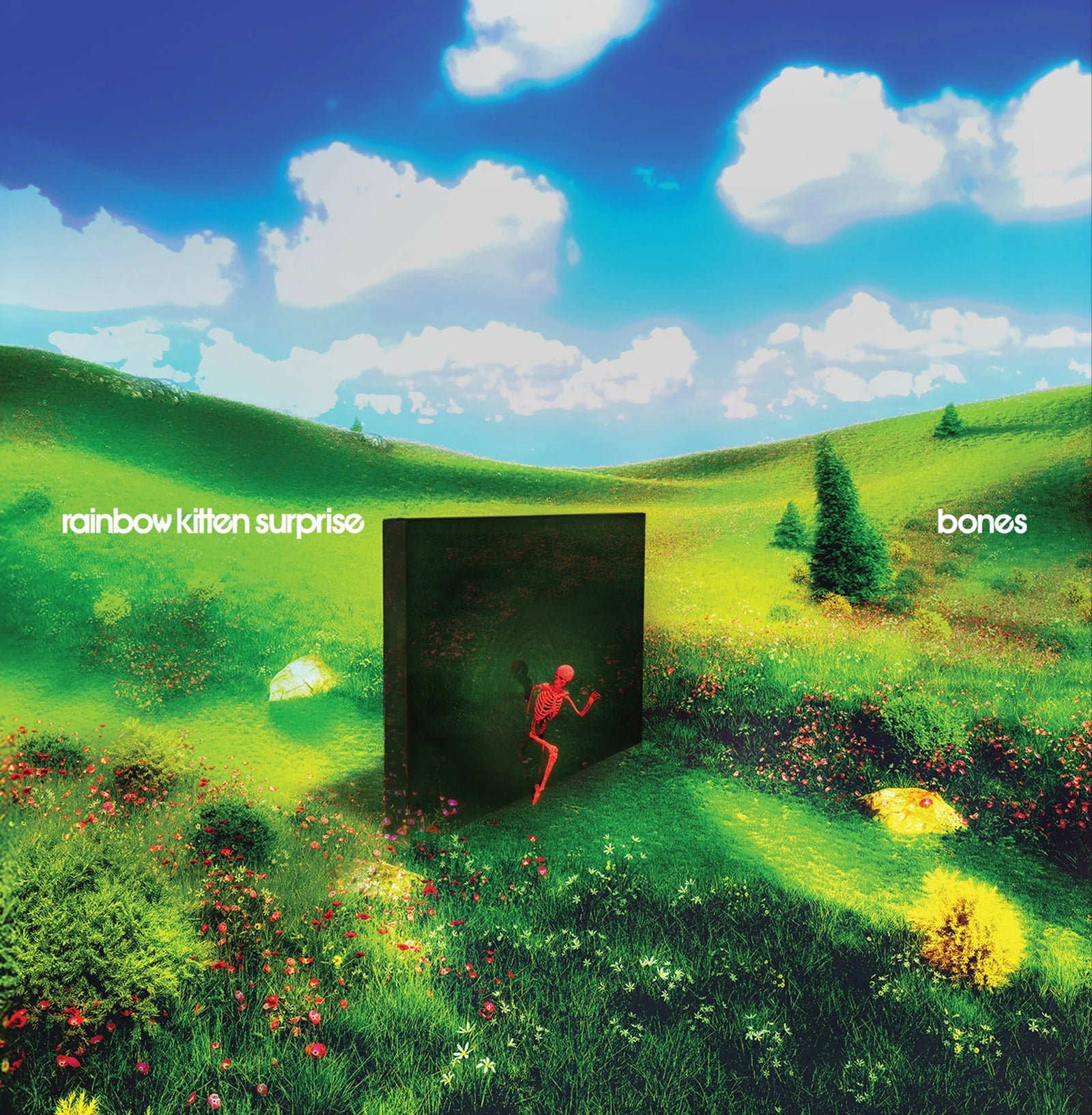 Rainbow Kitten Surprise - Bones (Vinyl LP)