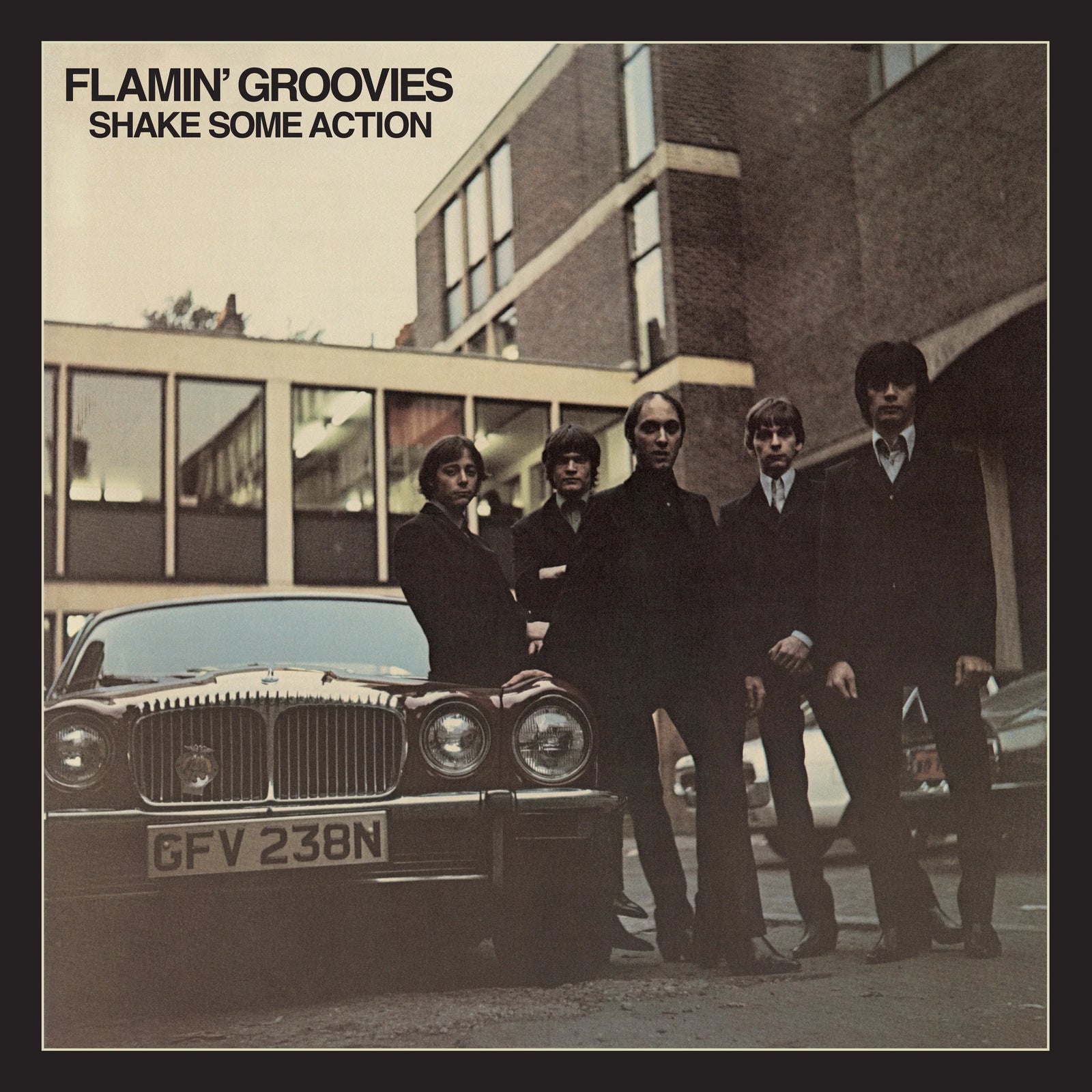 Flamin' Groovies - Shake Some Action: 50th Ann (Vinyl LP)
