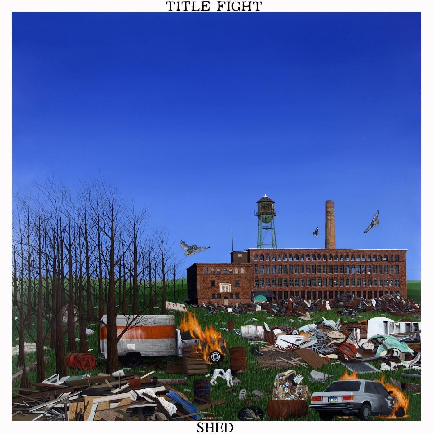 Title Fight - Shed (Vinyl LP)