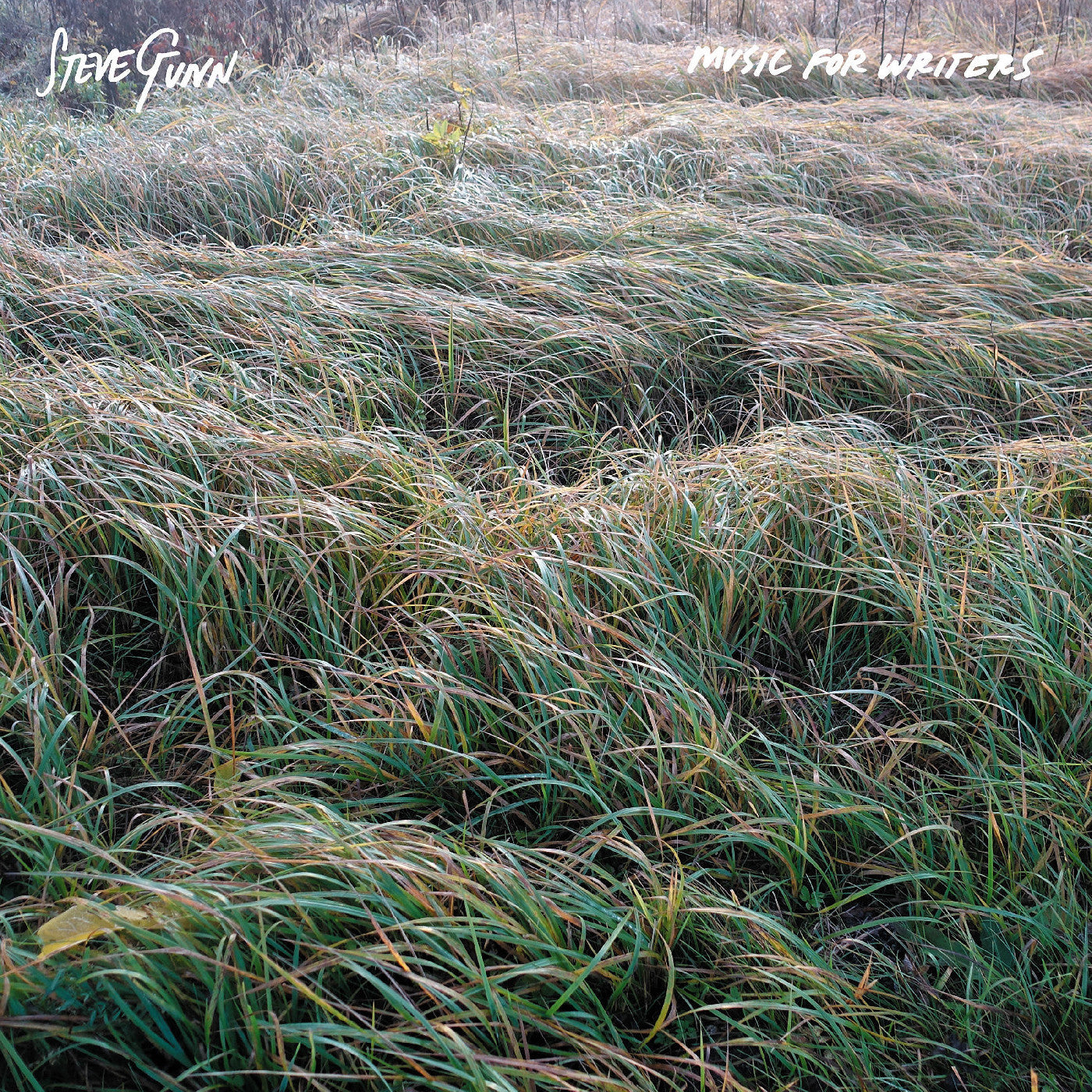 Steve Gunn - Music for Writers (Vinyl LP)