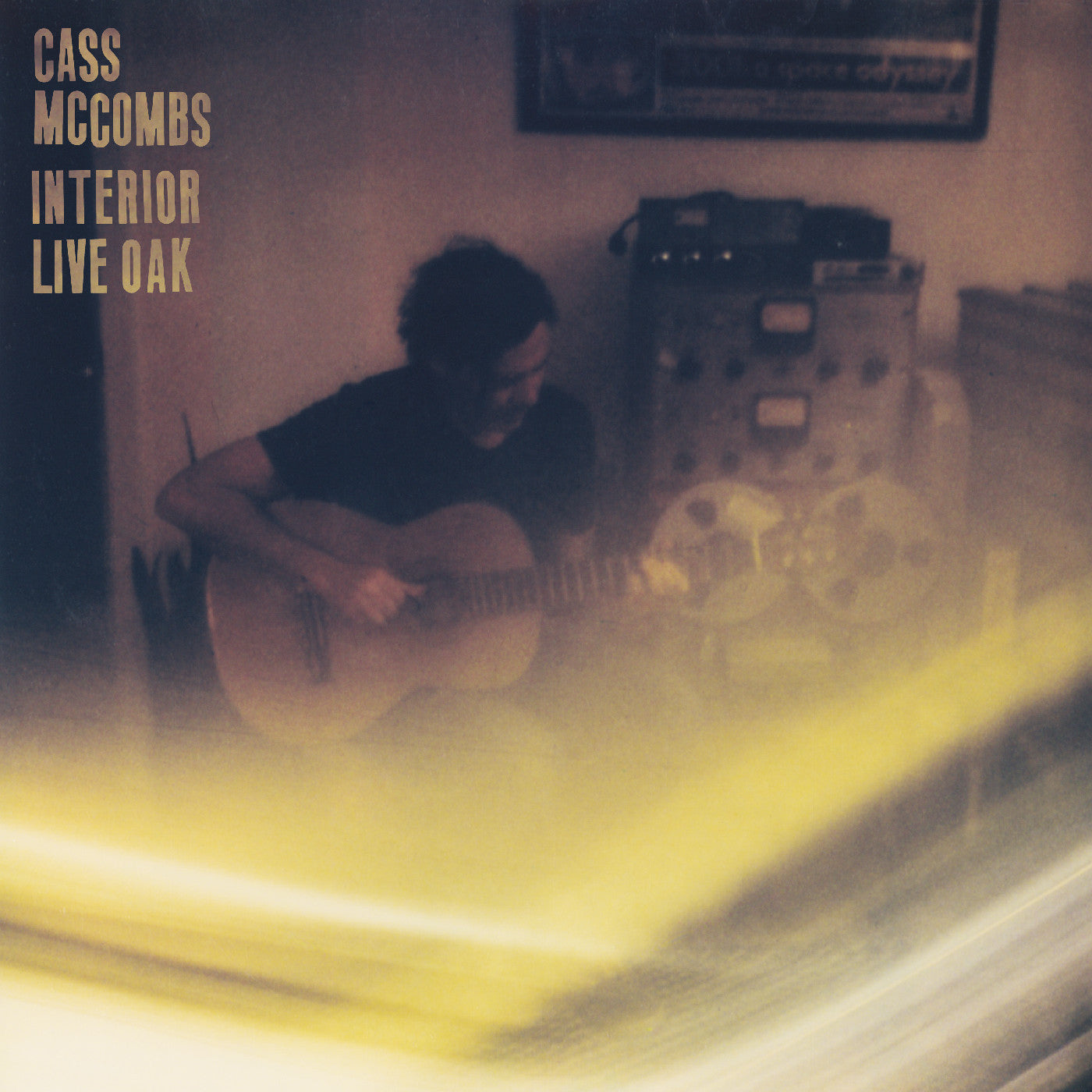 Cass McCombs - Interior Live Oak (Vinyl 2LP)
