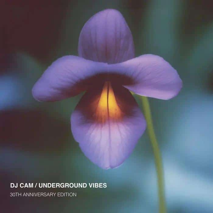 DJ Cam - Underground Vibes 30th Anniversary (Vinyl LP)