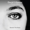 David Gilmour, Romany Gilmour - Between Two Points RSD25 (Vinyl 12&quot; Single)
