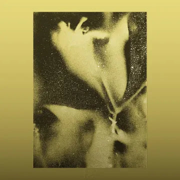 Flying Lotus - 1983 RSD26 (Vinyl LP)