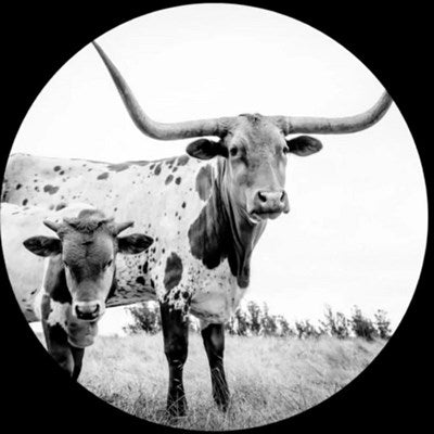 Mike Flanigin - West Texas Blues (Vinyl Picture Disc)