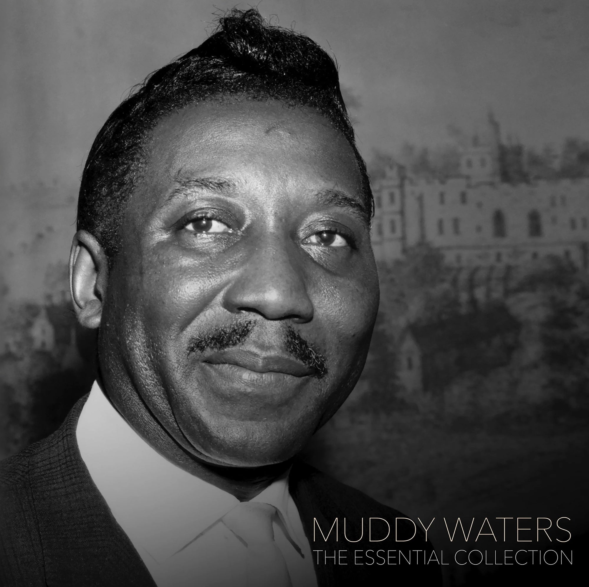 Muddy Waters - Essential Collection (Vinyl LP)