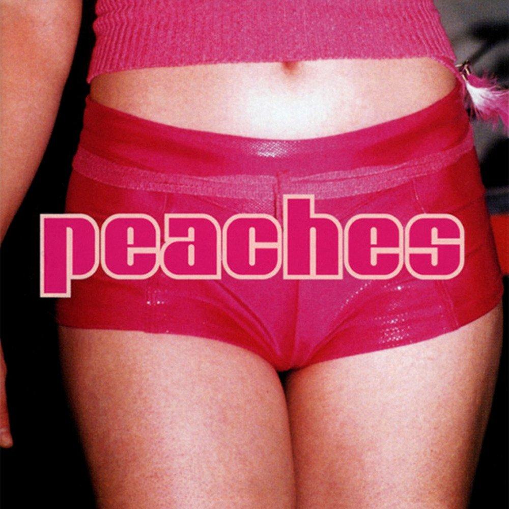 Peaches - The Teaches of Peaches (Vinyl LP)