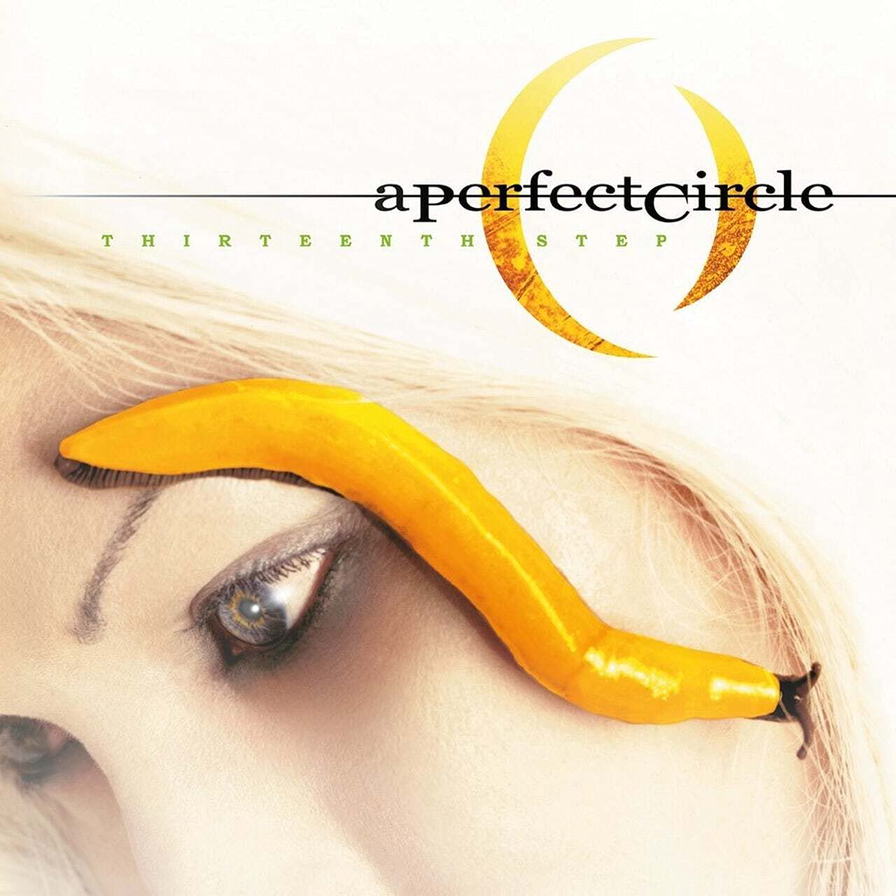 A Perfect Circle - Thirteenth Step (Vinyl 2LP)