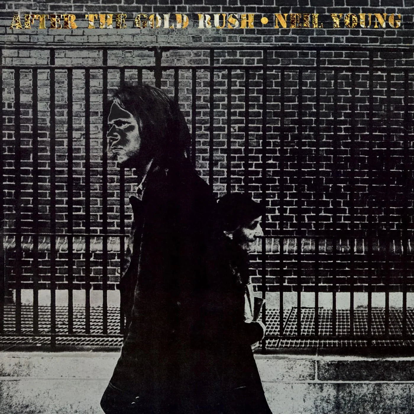 Neil Young - After the Gold Rush (Vinyl LP)