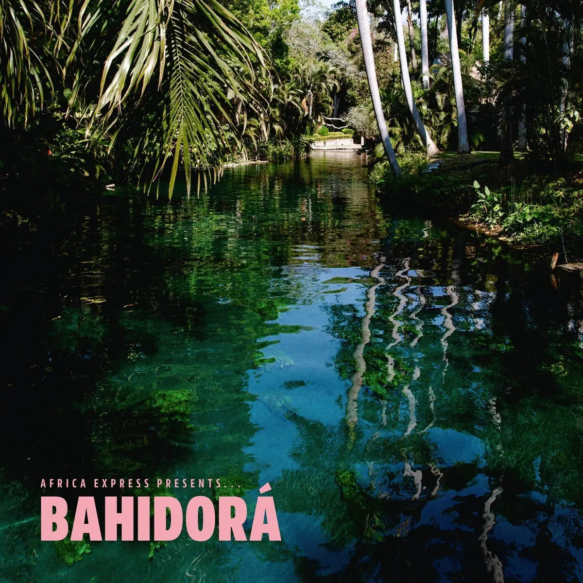 Africa Express - Presents Bahidora (Vinyl 2LP)