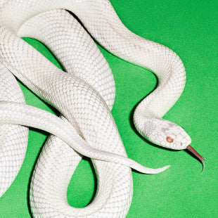 Deftones - Private Music (Vinyl LP)