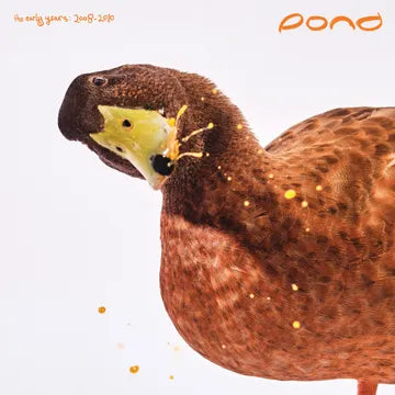 Pond - The Early Years: 2008 - 2010 RSD25 (Vinyl 2LP)
