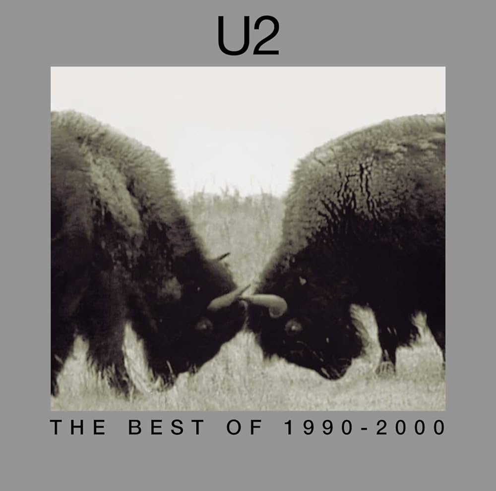 U2 - The Best of 1990-2000 (Vinyl 2LP)