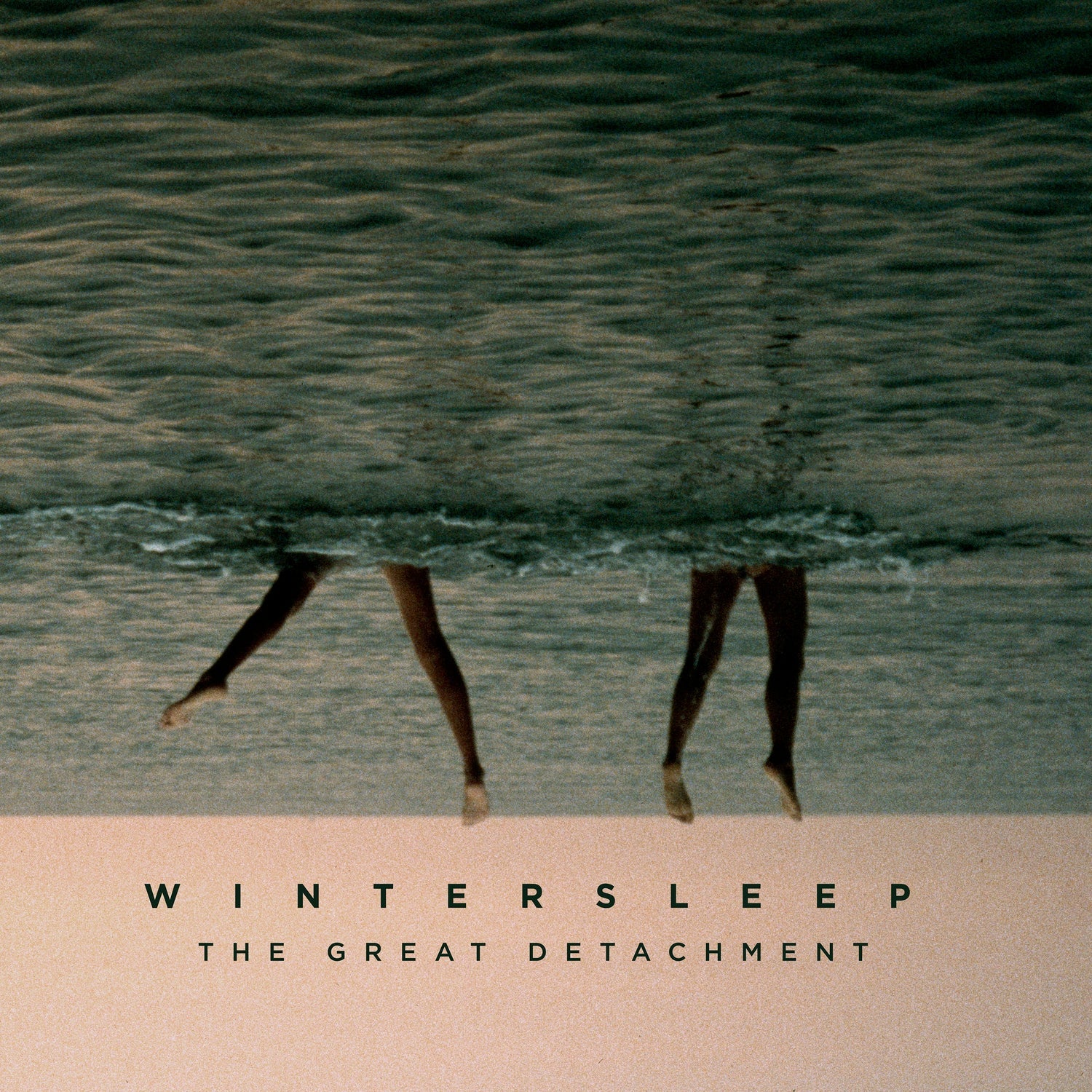 Wintersleep - The Great Detachment (Vinyl LP)