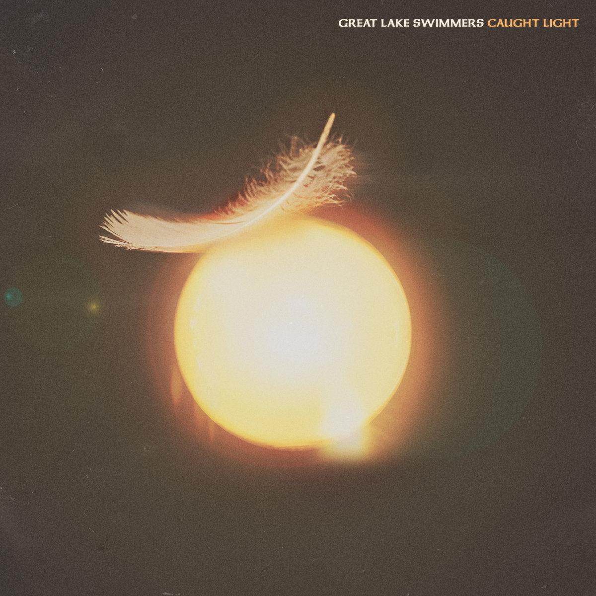 Great Lake Swimmers - Caught Light (Vinyl LP)