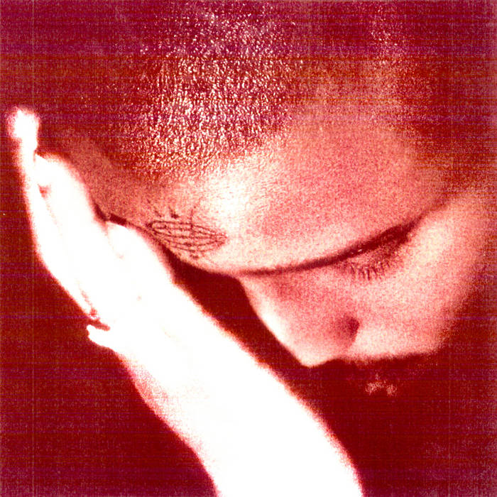 Nourished By Time - The Passionate Ones (Vinyl LP)