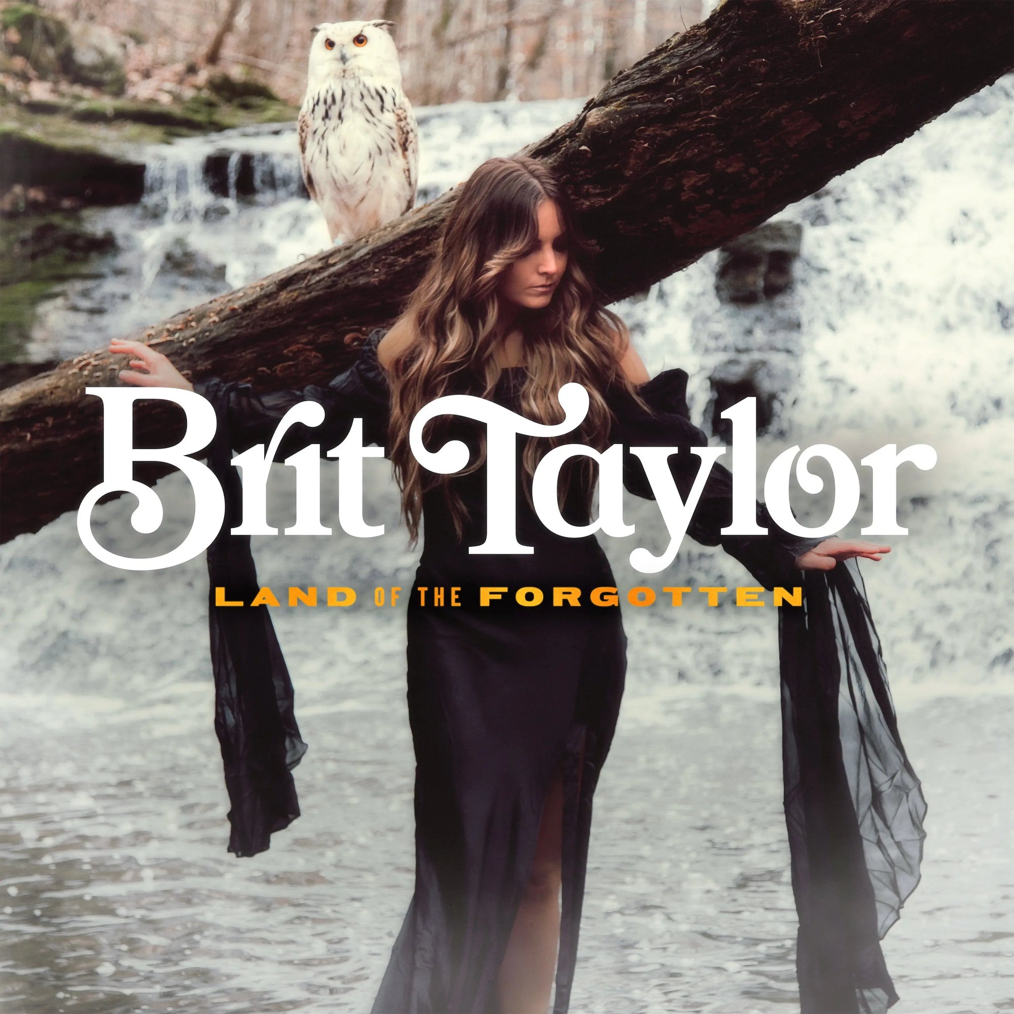 Brit Taylor - Land of the Forgotten (Vinyl LP)