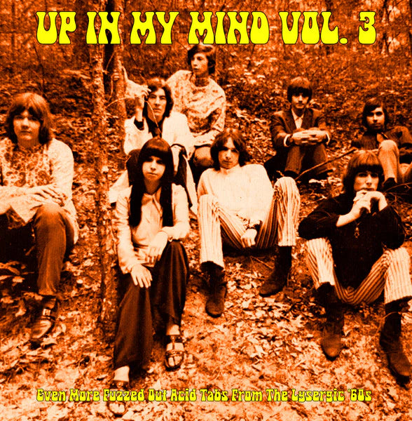 Various Artists - Up In My Mind Vol. 3 (Vinyl LP)