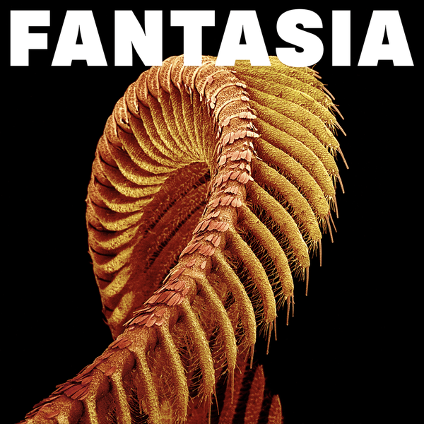 Slift - Fantasia (Vinyl LP)
