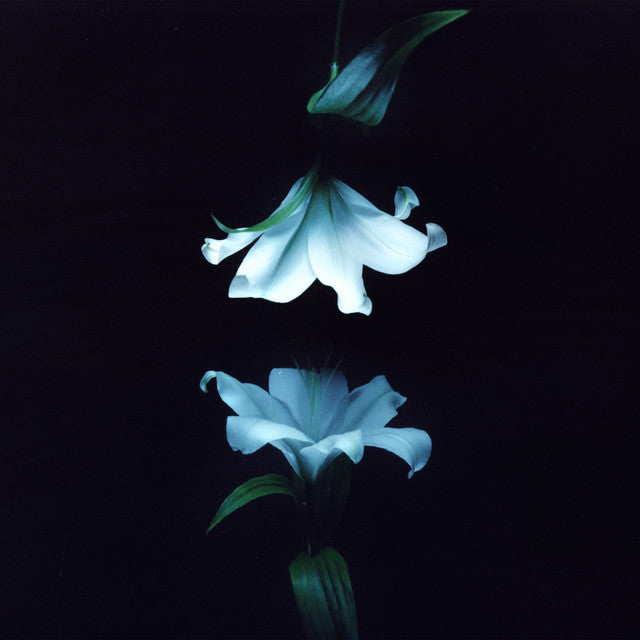 Wasia Project - Nocturne (Vinyl 2LP)