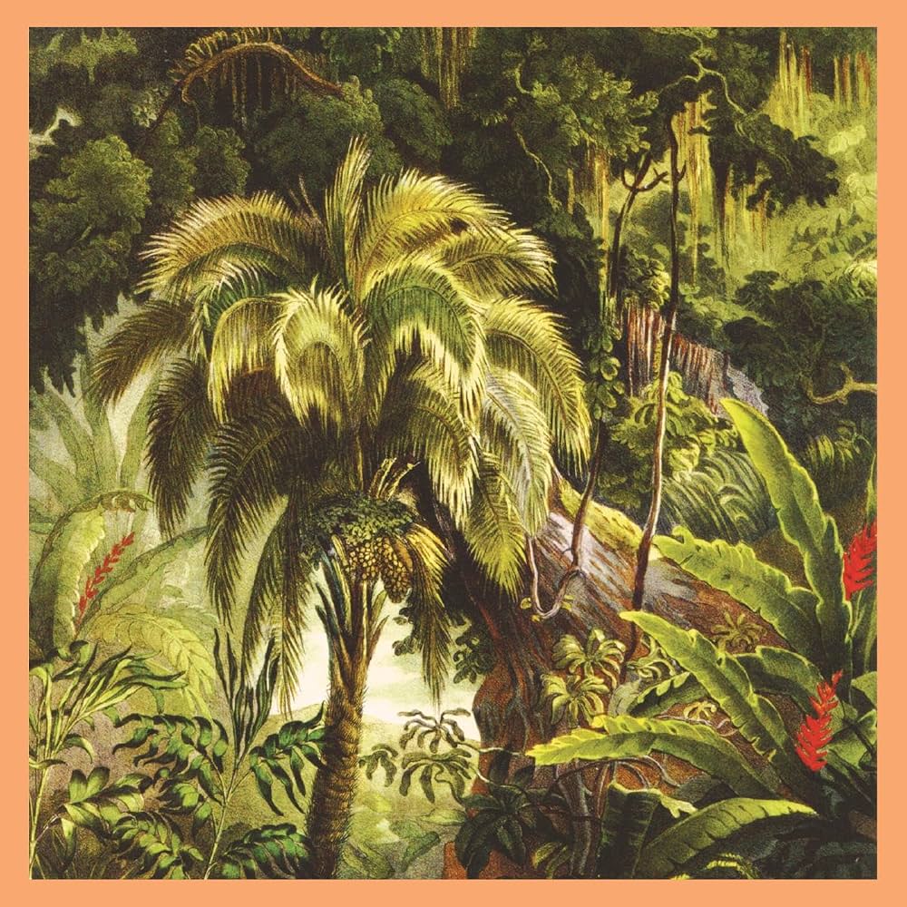 Xiu Xiu - La Forêt (Colour Vinyl LP)