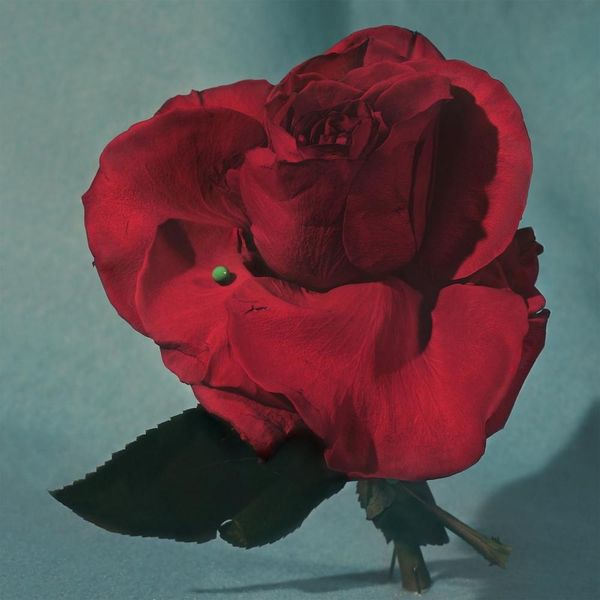 Metz -  Up On Gravity Hill (Colour Vinyl LP)