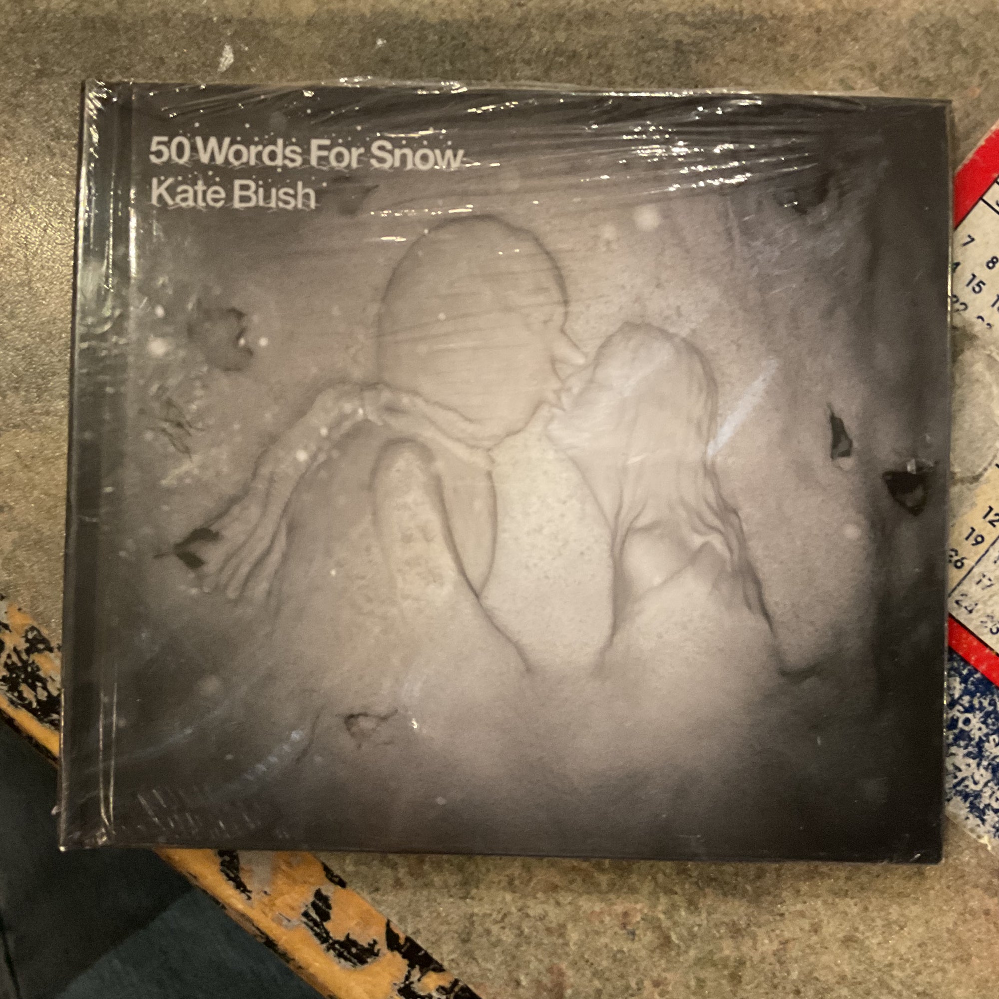 Kate Bush (CD NEW) 50 Words For Snow