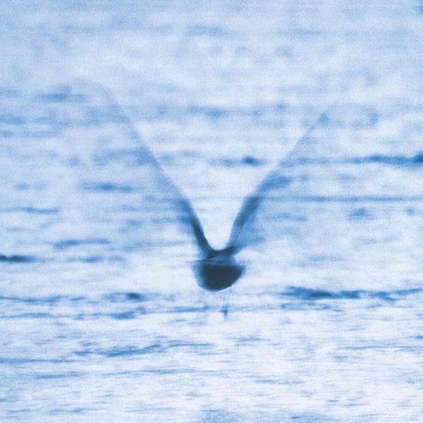 Ryo Fukui - Mellow Dream (Vinyl LP)