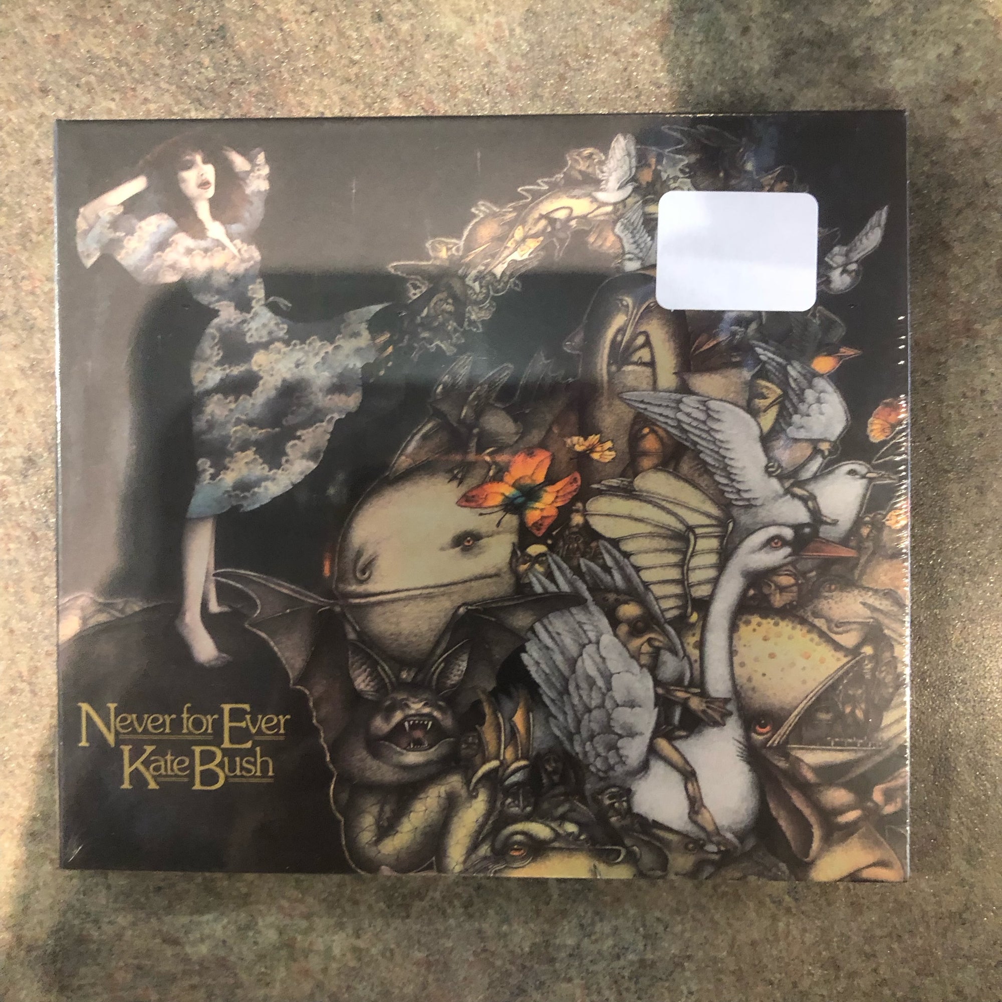 Kate Bush (CD NEW) Never For Ever