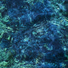 Ichiko Aoba - Luminescent Creatures (Vinyl LP)