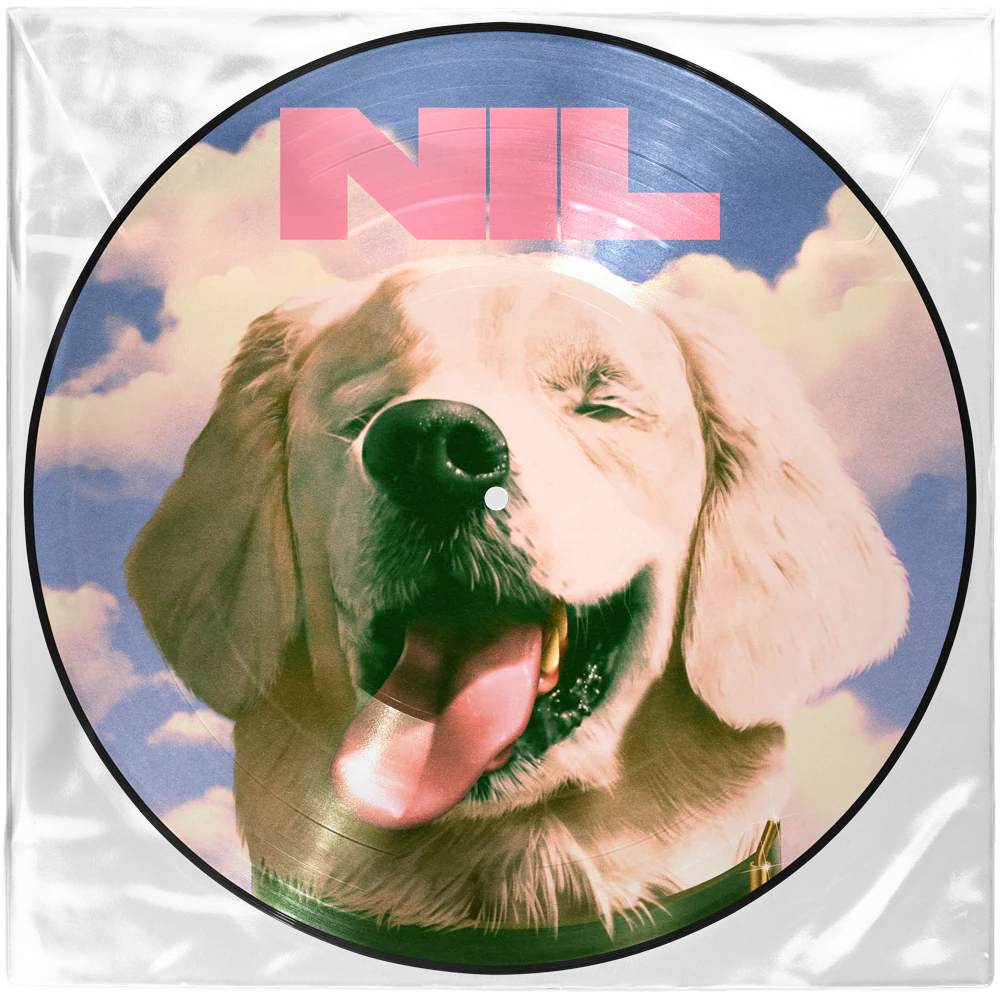 The Dirty Nil - Fuck Art (Vinyl Picture Disc)