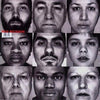Bad Religion - The Gray Race (Vinyl LP)