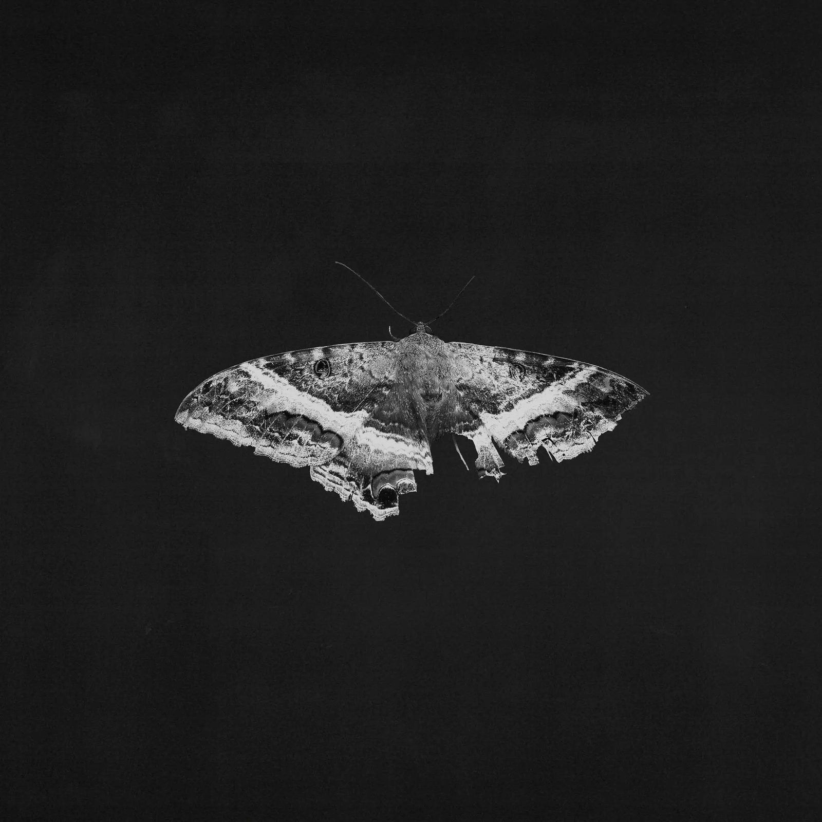 Kendrick Lamar - To Pimp A Butterfly 10 Year Anniv. (Vinyl 2LP)