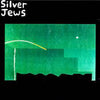 Silver Jews - The Natural Days (Vinyl LP)