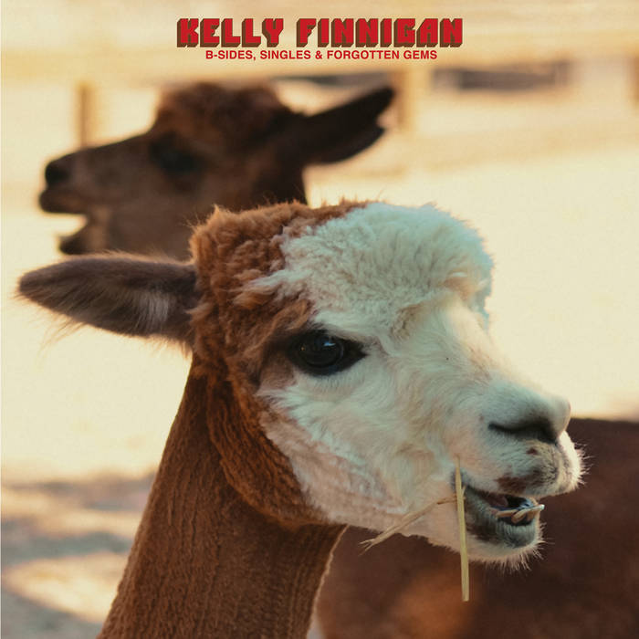 Kelly Finnigan - B-Sides, Singles &amp; Forgotten Gems (Vinyl LP)