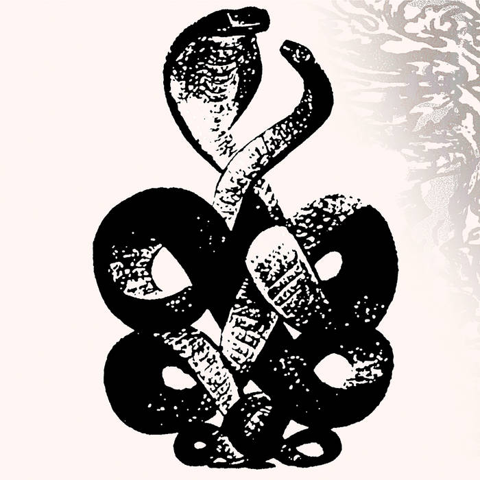 Bardo Pond - Volumes 4 & 5 (Vinyl 2LP)