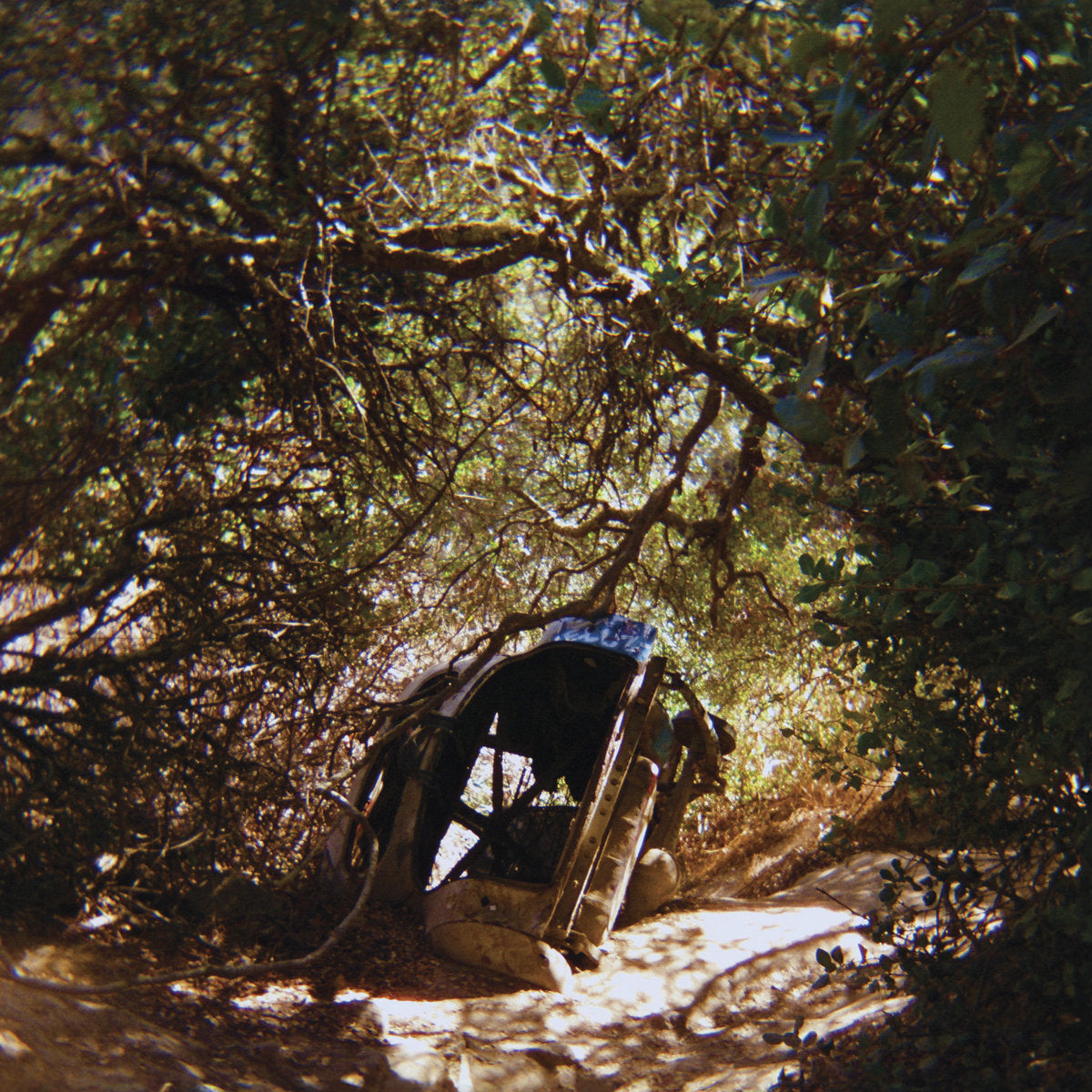 Ty Segall - Possession (Vinyl LP)