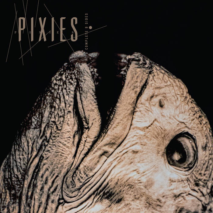 Pixies - Complete B-Sides 1988-97 (Vinyl 2LP)