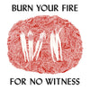 Angel Olsen - Burn Your Fire For No Witness (Vinyl LP)