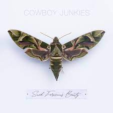 Cowboy Junkies - Such Ferocious Beauty (Vinyl LP)