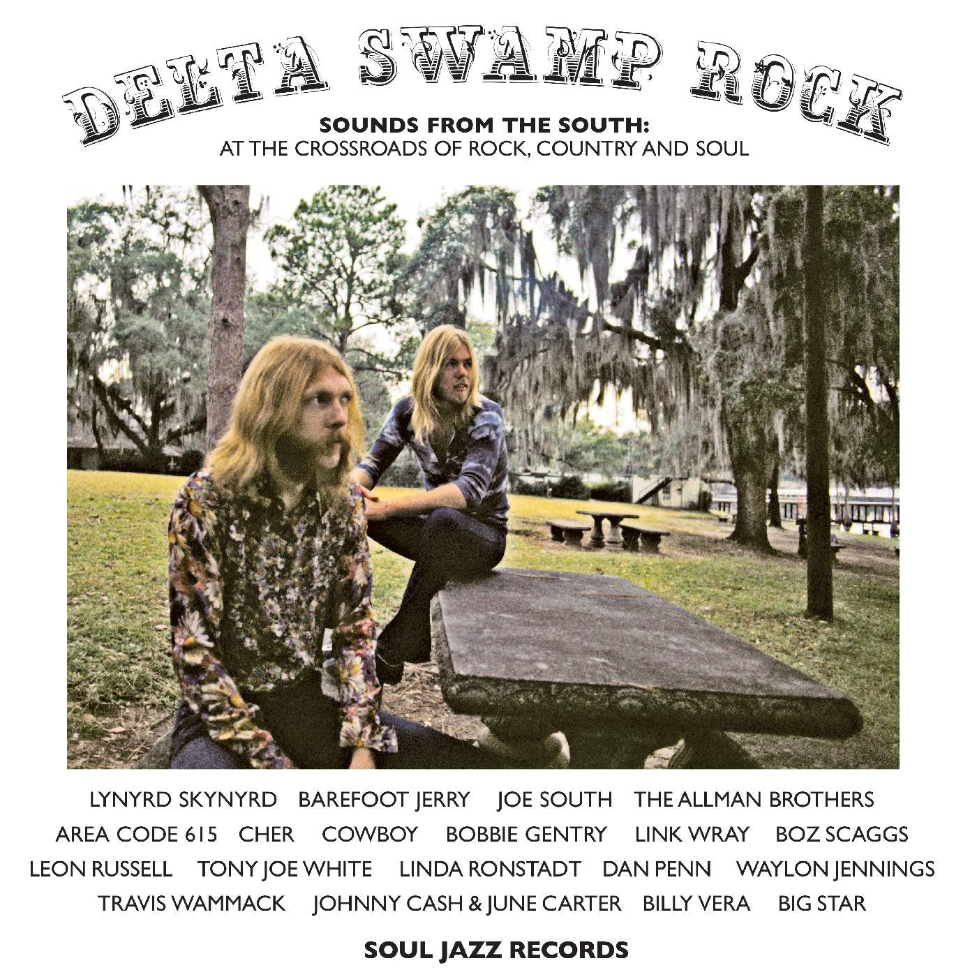 Various Artists - Delta Swamp Rock (Vinyl 2LP)