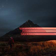 Dominic Fike - What Could Possibly Go Wrong (Vinyl LP)