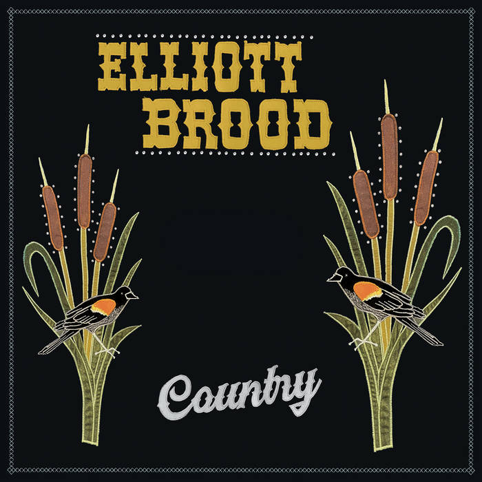 Elliott Brood - Country (Vinyl LP)