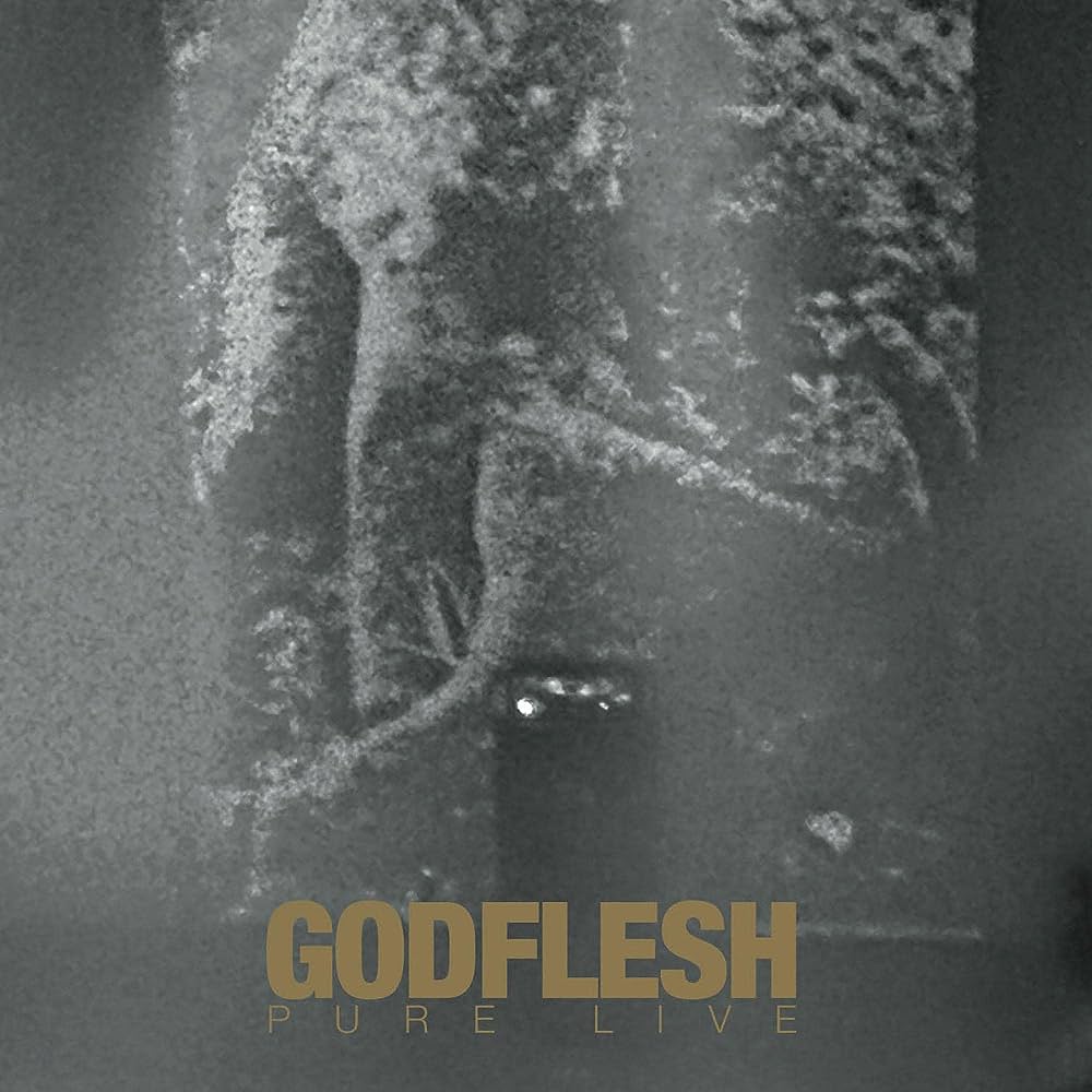 Godflesh - Pure Live (Vinyl 2LP)