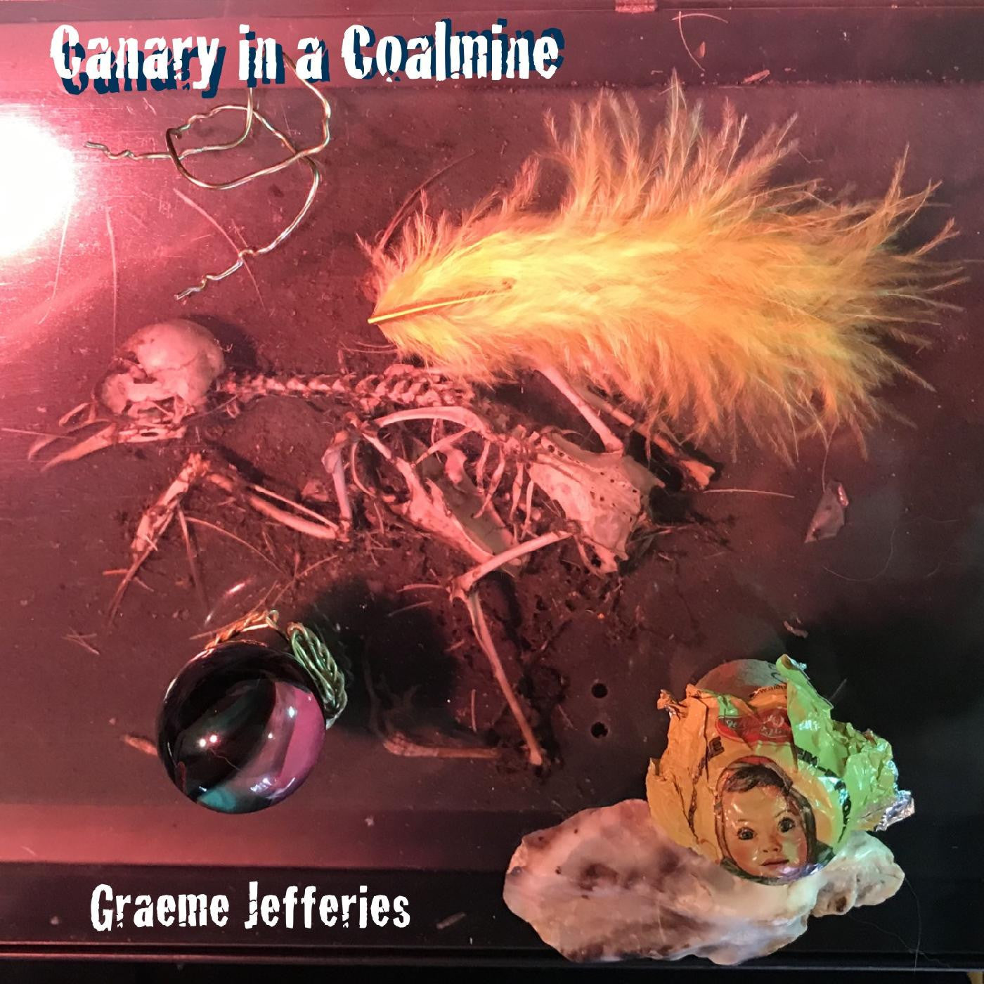 Graeme Jefferies - Canary in a Coalmine (Vinyl LP)