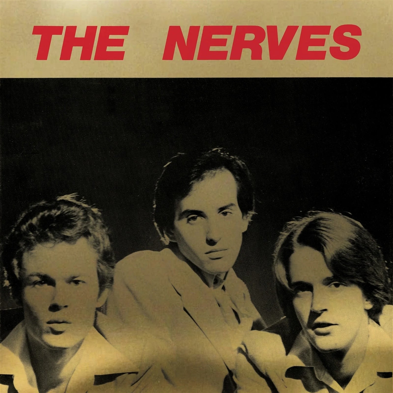 Nerves - Best Collection (Vinyl 2LP)
